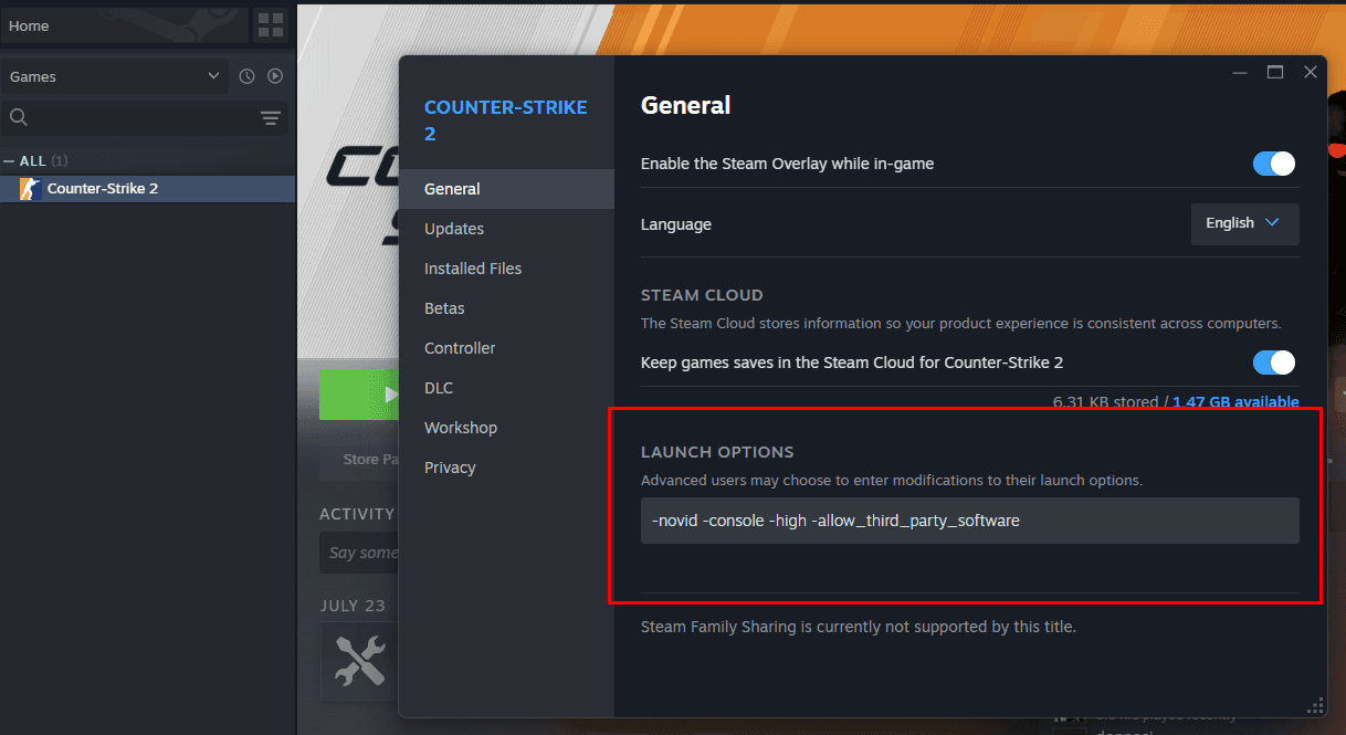 CS2 Launch Options